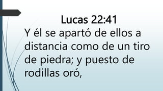 Lucas 22:41
Y él se apartó de ellos a
distancia como de un tiro
de piedra; y puesto de
rodillas oró,
 