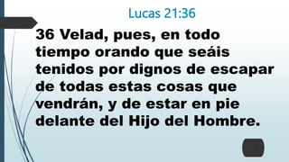 Lucas 21:36
36 Velad, pues, en todo
tiempo orando que seáis
tenidos por dignos de escapar
de todas estas cosas que
vendrán, y de estar en pie
delante del Hijo del Hombre.
 
