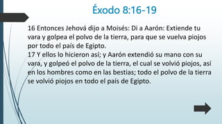 Éxodo 8:16-19
16 Entonces Jehová dijo a Moisés: Di a Aarón: Extiende tu
vara y golpea el polvo de la tierra, para que se vuelva piojos
por todo el país de Egipto.
17 Y ellos lo hicieron así; y Aarón extendió su mano con su
vara, y golpeó el polvo de la tierra, el cual se volvió piojos, así
en los hombres como en las bestias; todo el polvo de la tierra
se volvió piojos en todo el país de Egipto.
 