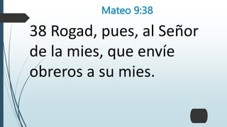 Mateo 9:38
38 Rogad, pues, al Señor
de la mies, que envíe
obreros a su mies.
 
