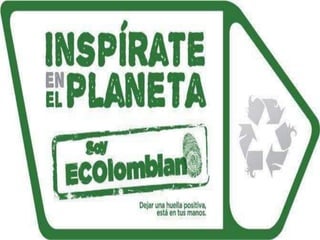 La importancia de las r (1)