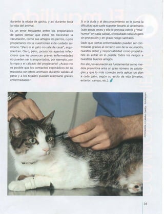 La importancia de las vacunas