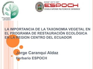 LA IMPORTANCIA DE LA TAXONOMIA VEGETAL EN 
EL PROGRAMA DE RESTAURACIÓN ECOLÓGICA 
EN LA REGION CENTRO DEL ECUADOR 
Jorge Caranqui Aldaz 
Herbario ESPOCH 
 