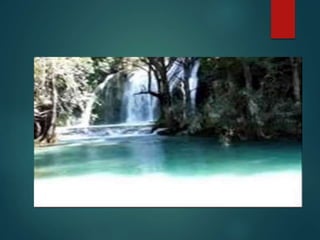 La importancia del cuidado del agua