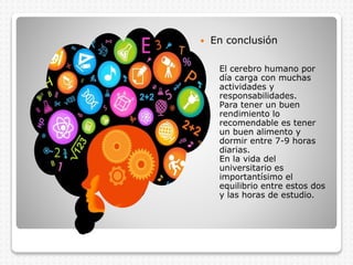  En conclusión
El cerebro humano por
día carga con muchas
actividades y
responsabilidades.
Para tener un buen
rendimiento lo
recomendable es tener
un buen alimento y
dormir entre 7-9 horas
diarias.
En la vida del
universitario es
importantísimo el
equilibrio entre estos dos
y las horas de estudio.
 