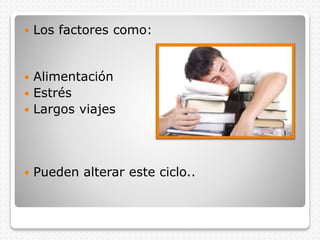  Los factores como:
 Alimentación
 Estrés
 Largos viajes
 Pueden alterar este ciclo..
 