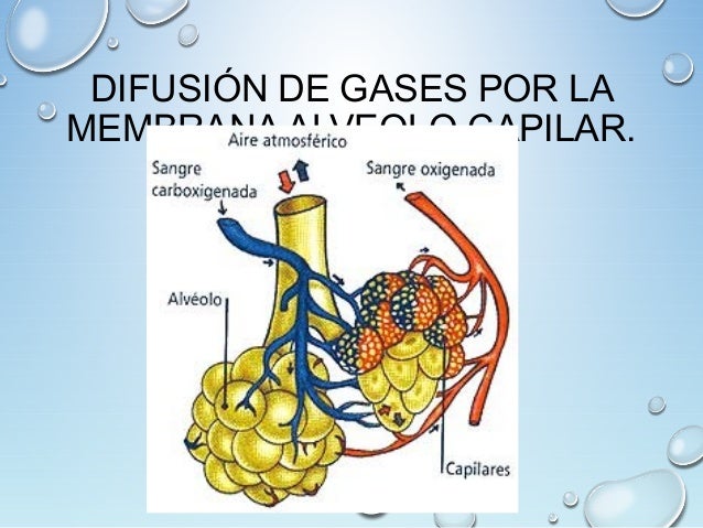 La importancia del ejercicio fisico La importancia del ejercicio fisico
