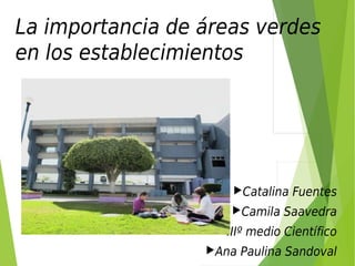 La importancia de áreas verdes 
en los establecimientos 
Catalina Fuentes 
Camila Saavedra 
IIIº medio Científico 
Ana Paulina Sandoval 
 