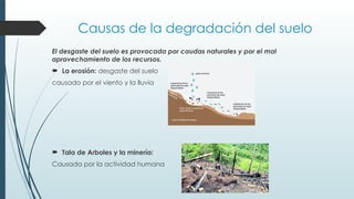 La importancia y el cuidado del suelo.pptx