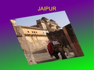 JAIPUR 
