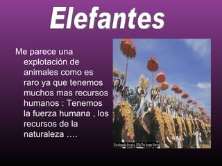 Me parece una
 explotación de
 animales como es
 raro ya que tenemos
 muchos mas recursos
 humanos : Tenemos
 la fuerza humana , los
 recursos de la
 naturaleza ….
 