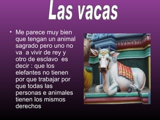 • Me parece muy bien
  que tengan un animal
  sagrado pero uno no
  va a vivir de rey y
  otro de esclavo es
  decir : que los
  elefantes no tienen
  por que trabajar por
  que todas las
  personas e animales
  tienen los mismos
  derechos
 