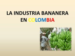LA INDUSTRIA BANANERA EN COLOMBIA 