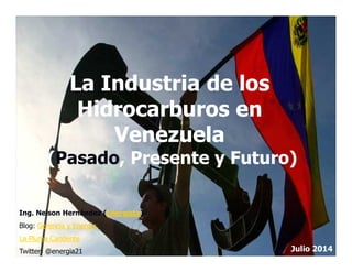 La Industria de los
Hidrocarburos en
Venezuela
Julio 2014
Ing. Nelson Hernández (Energista)
Blog: Gerencia y Energía
La Pl...