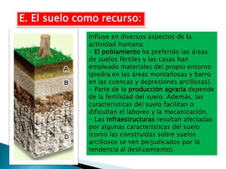 E. El suelo como recurso:
Influye en diversos aspectos de la
actividad humana:
- El poblamiento ha preferido las áreas
de suelos fértiles y las casas han
empleado materiales del propio entorno
(piedra en las áreas montañosas y barro
en las cuencas y depresiones arcillosas).
- Parte de la producción agraria depende
de la fertilidad del suelo. Además, las
características del suelo facilitan o
dificultan el laboreo y la mecanización.
- Las infraestructuras resultan afectadas
por algunas características del suelo
(como las construidas sobre suelos
arcillosos se ven perjudicados por la
tendencia al deslizamiento).
 