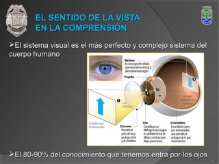 EL SENTIDO DE LA VISTAEL SENTIDO DE LA VISTA
EN LA COMPRENSIÓNEN LA COMPRENSIÓN
El sistema visual es el más perfecto y complejo sistema delEl sistema visual es el más perfecto y complejo sistema del
cuerpo humanocuerpo humano
El 80-90% del conocimiento que tenemos entra por los ojosEl 80-90% del conocimiento que tenemos entra por los ojos
5
 