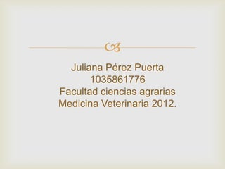
  Juliana Pérez Puerta
       1035861776
Facultad ciencias agrarias
Medicina Veterinaria 2012.
 