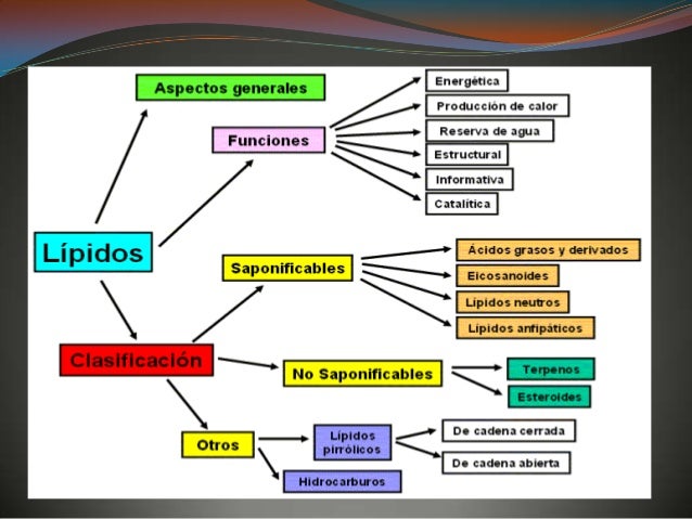 diaria de