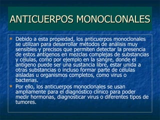 ANTICUERPOS MONOCLONALES <ul><li>Debido a esta propiedad, los anticuerpos monoclonales se utilizan para desarrollar método...