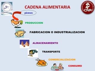 ALMACENAMIENTO
FABRICACION O INDUSTRIALIZACION
PRODUCCION
TRANSPORTE
COMERCIALIZACION
CONSUMO
piensos
CADENA ALIMENTARIA
 
