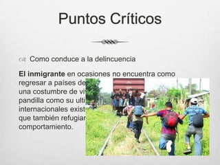 Puntos Críticos
 Como conduce a la delincuencia
El inmigrante en ocasiones no encuentra como
regresar a países desarrollados en los cuales ya tiene
una costumbre de vivir, y recurre a los asaltos o las
pandilla como su ultima opción, además en países
internacionales existen demasiados grupos antisociales
que también refugian individuos con problemas de
comportamiento.
 