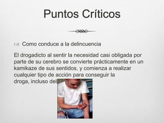 Puntos Críticos
 Como conduce a la delincuencia
El drogadicto al sentir la necesidad casi obligada por
parte de su cerebro se convierte prácticamente en un
kamikaze de sus sentidos, y comienza a realizar
cualquier tipo de acción para conseguir la
droga, incluso delinquir.
 
