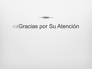 Gracias por Su Atención
 