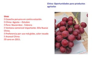China: Oportunidades para productos
agrícolas
Uvas
 Cosecha peruana en contra estación.
 China: Agosto – Octubre
 Perú: Noviembre - Febrero
 Ventana comercial importante: Año Nuevo
Chino.
 Preferencia por uva red globe, color rosado
 Arancel China:
 cero en 2015.
 
