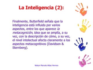 Finalmente, Butterfield señala que la inteligencia está influida por varios aspectos, entre los que aparece la metacognición, idea que se amplía, a su vez, con la descripción de cómo, a su vez, el nivel intelectual afecta claramente a los aspectos metacognitivos (Davidson & Sternberg).Nelson Marcelo Aldaz HerreraLa Inteligencia (2):