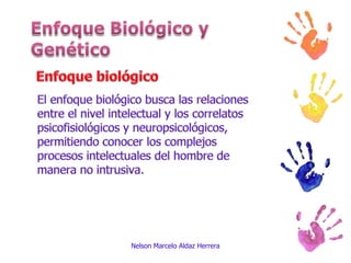 El enfoque biológico busca las relaciones entre el nivel intelectual y los correlatos psicofisiológicos y neuropsicológicos, permitiendo conocer los complejos procesos intelectuales del hombre de manera no intrusiva.Nelson Marcelo Aldaz HerreraEnfoque Biológico y GenéticoEnfoque biológico