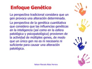 La perspectiva tradicional considera que un gen provoca una alteración determinada.La perspectiva de la genética cuantitativa que considera que las influencias genéticas en la inteligencia (así como en la esfera patológica y psicopatológica) provienen de la actividad de múltiples genes, de modo que un único gen no es ni necesario ni suficiente para causar una alteración patológica.Nelson Marcelo Aldaz HerreraEnfoque Genético