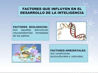 FACTORES BIOLOGICOS:
Son aquellas estructuras
neuroanatomías heredadas
de los padres
FACTORES QUE INFLUYEN EN EL
DESARROLLO DE LA INTELIGENCIA
FACTORES AMBIENTALES:
son condiciones
socioculturales y naturales.
 