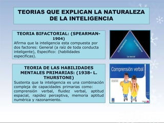 TEORIA BIFACTORIAL: (SPEARMAN-
1904)
Afirma que la inteligencia esta compuesta por
dos factores: General (a raíz de toda conducta
inteligente), Especifico: (habilidades
especificas).
TEORIAS QUE EXPLICAN LA NATURALEZA
DE LA INTELIGENCIA
TEORIA DE LAS HABILIDADES
MENTALES PRIMARIAS: (1938- L.
THURSTONE)
Sustenta que la inteligencia es una combinación
compleja de capacidades primarias como:
comprensión verbal, fluidez verbal, aptitud
espacial, rapidez perceptiva, memoria aptitud
numérica y razonamiento.
 