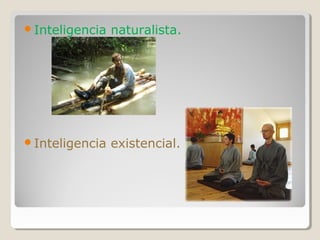 Inteligencia naturalista.
Inteligencia existencial.
 