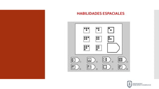 HABILIDADES ESPACIALES
 