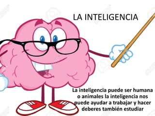 LA INTELIGENCIA
La inteligencia puede ser humana
o animales la inteligencia nos
puede ayudar a trabajar y hacer
deberes también estudiar
 