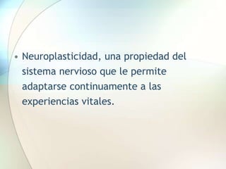 • Neuroplasticidad, una propiedad del
sistema nervioso que le permite
adaptarse continuamente a las
experiencias vitales.
 