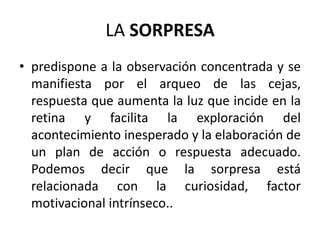 LA SORPRESA
• predispone a la observación concentrada y se
  manifiesta por el arqueo de las cejas,
  respuesta que aumenta la luz que incide en la
  retina y facilita la exploración del
  acontecimiento inesperado y la elaboración de
  un plan de acción o respuesta adecuado.
  Podemos decir que la sorpresa está
  relacionada con la curiosidad, factor
  motivacional intrínseco..
 
