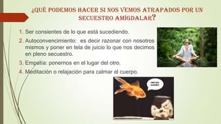 1. Ser consientes de lo que está sucediendo.
2. Autoconvencimiento: es decir razonar con nosotros
mismos y poner en tela de juicio lo que nos decimos
en pleno secuestro.
3. Empatía: ponernos en el lugar del otro.
4. Meditación o relajación para calmar el cuerpo.
¿QUÉ PODEMOS HACER SI NOS VEMOS ATRAPADOS POR UN
SECUESTRO AMÍGDALAR?
 