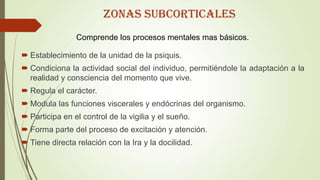  Establecimiento de la unidad de la psiquis.
 Condiciona la actividad social del individuo, permitiéndole la adaptación a la
realidad y consciencia del momento que vive.
 Regula el carácter.
 Modula las funciones viscerales y endócrinas del organismo.
 Participa en el control de la vigilia y el sueño.
 Forma parte del proceso de excitación y atención.
 Tiene directa relación con la Ira y la docilidad.
Comprende los procesos mentales mas básicos.
ZONAS SUBCORTICALES
 