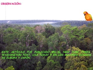 OBSERVACIÓN: ESTE ARTÍCULO FUE PUBLICADO EN EL NEW YORK TIMES, WASHINGTON POST, USA TODAY Y EN LOS MAYORES DIARIOS DE EUROPA Y JAPÓN.  