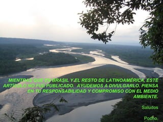 MIENTRAS QUE EN BRASIL Y EL RESTO DE LATINOAMÉRICA, ESTE ARTÍCULO NO FUE PUBLICADO.  AYUDEMOS A DIVULGARLO. PIENSA EN TU RESPONSABILIDAD Y COMPROMISO CON EL MEDIO AMBIENTE. Saludos Pocho. 