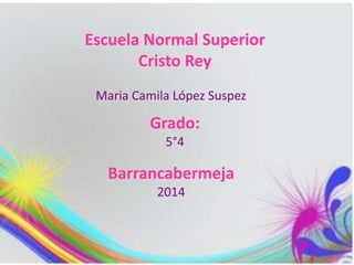 Escuela Normal Superior 
Cristo Rey 
Maria Camila López Suspez 
Grado: 
5°4 
Barrancabermeja 
2014 
 