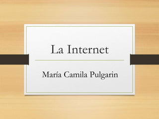 La Internet
María Camila Pulgarin
 