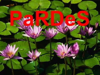 PaRDeS 