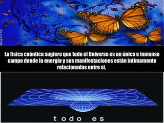 La física cuántica sugiere que todo el Universo es un único e inmenso campo donde la energía y sus manifestaciones están íntimamente relacionadas entre si.  todo es  uno 