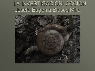 LA INVESTIGACILA INVESTIGACIÓÓNN-- ACCIACCIÓÓNN
Josefa Eugenia Blasco MiraJosefa Eugenia Blasco Mira
 