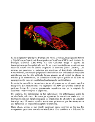 La investigadora y prestigiosa Bióloga Dra. Josefa González, investigadora Ramón
y Cajal Consejo Superior de Investigaciones Científicas (CSIC) en el Instituto de
Biología Evolutiva (CSIC-UPF). La Dra Gonzalez dirige el equipo de
investigadores que han publicado uno de los primeros estudios en relacionar una
mutación natural con un cambio adaptativo al ambiente (PLoS Genetics). Las
moscas que presentan la mutación son resistentes al insecticida carbofurano.
Concretamente, las moscas que presentan la mutación son resistentes al insecticida
carbofurano, que ha sido utilizado durante décadas en el control de plagas en
frutales, y al benzaldehído, un compuesto natural que se genera en la fruta en
descomposición y que en cantidades elevadas resulta también tóxico.
La mutación descubierta es una inserción en el genoma de un elemento móvil o
transposón. Los transposones son fragmentos de ADN que pueden cambiar de
posición dentro del genoma, provocando mutaciones que, en la mayoría de
ocasiones, son nocivas para el organismo.
Por ejemplo, los transposones se han relacionado con enfermedades como la
esquizofrenia y el cáncer. Sin embargo, algunas de las mutaciones producidas por
los transposones son beneficiosas para los organismos. El laboratorio de González
investiga específicamente aquellas mutaciones provocadas por los transposones
que permiten a los organismos adaptarse al ambiente.
Hasta ahora, apenas se han podido demostrar casos concretos en los que los
transposones provoquen mutaciones beneficiosas. Esto es debido a la dificultad de
 