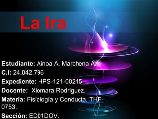 La Ira
Estudiante: Ainoa A. Marchena A.
C.I: 24.042.796
Expediente: HPS-121-00215.
Docente: Xiomara Rodriguez.
Materia: Fisiología y Conducta. THF-
0753.
Sección: ED01DOV.
 
