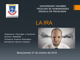 LA IRA
Barquisimeto 31 de octubre del 2016
 